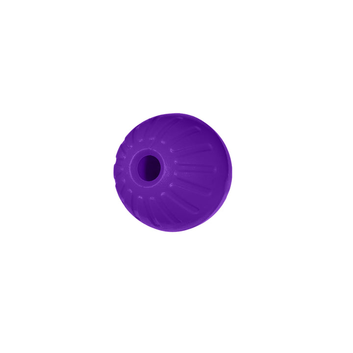 Individual Foamster Training Ball