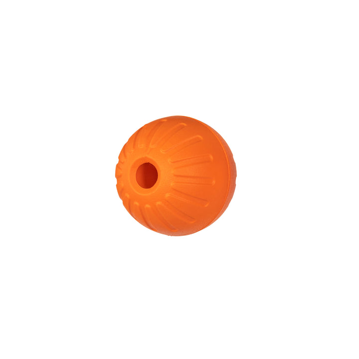 Individual Foamster Training Ball