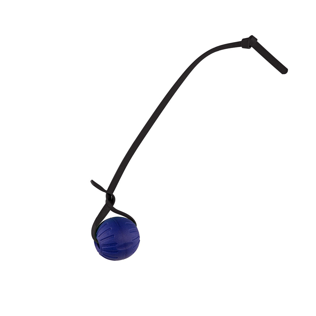 Discount Training Balls