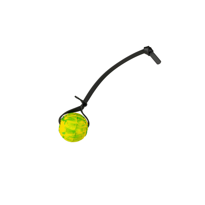 Discount Training Balls