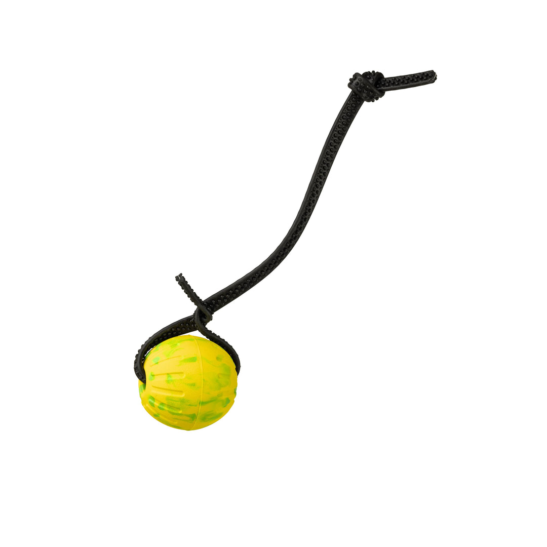 Discount Training Balls