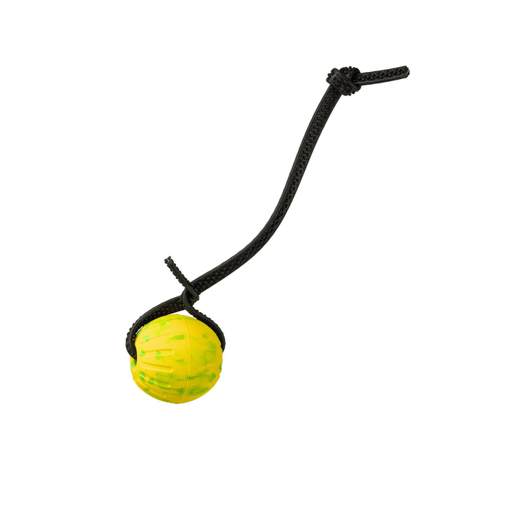 Discount Training Balls