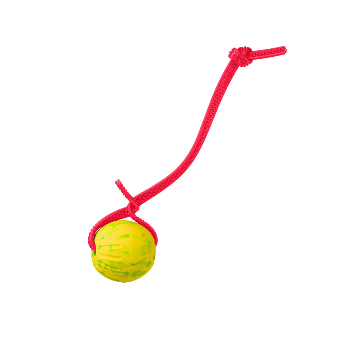 Discount Training Balls