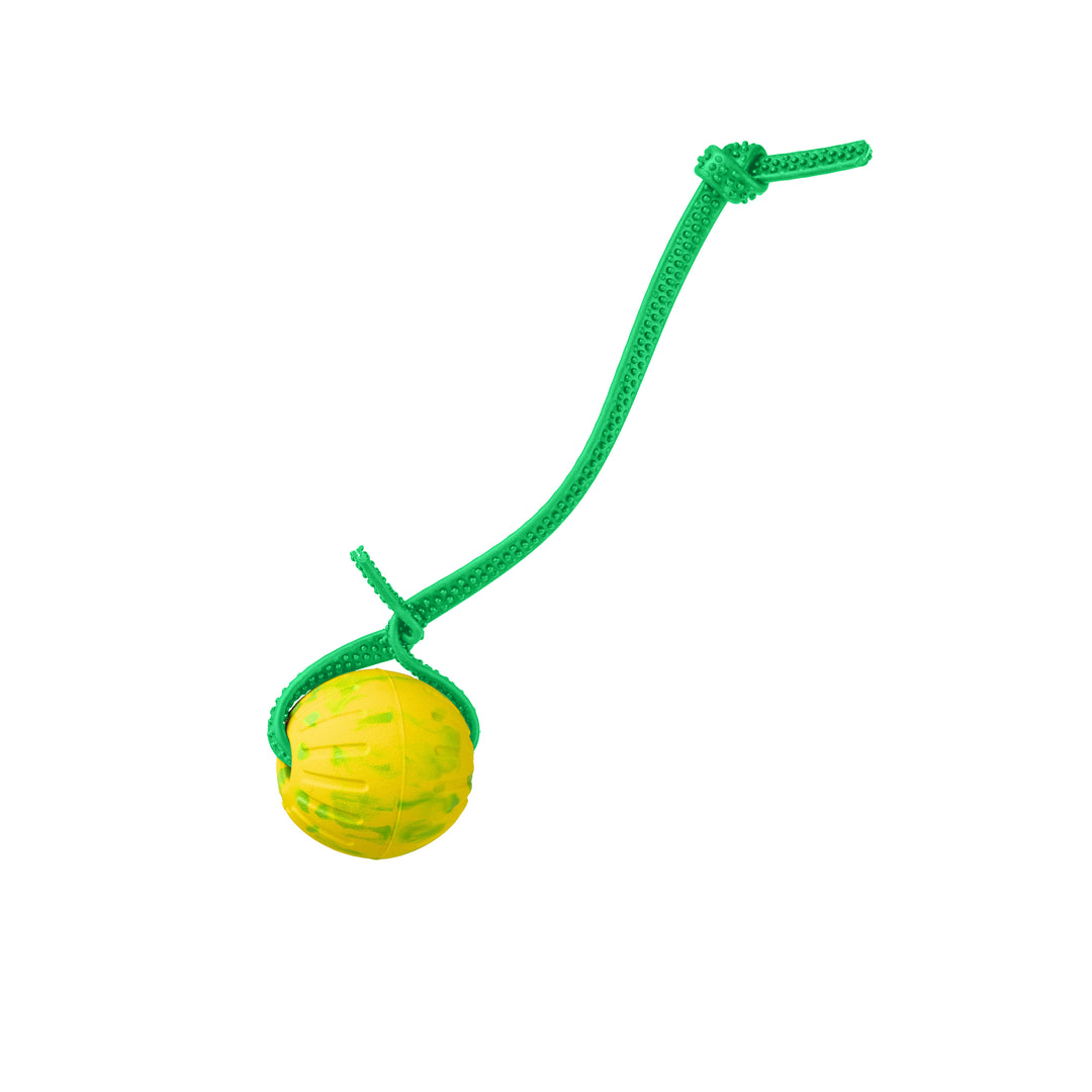 Discount Training Balls