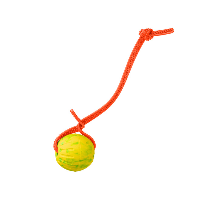 Discount Training Balls