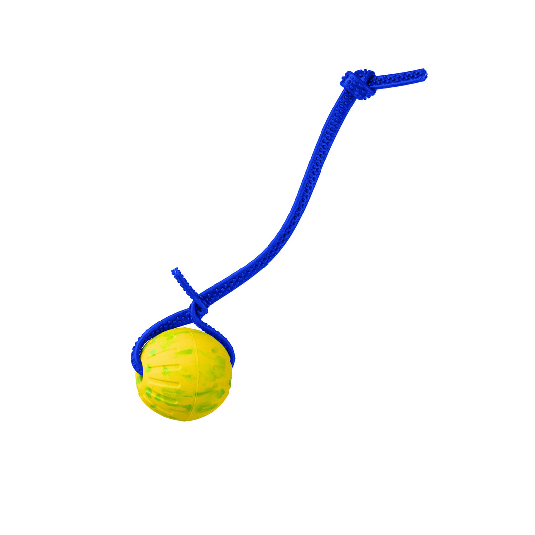 Discount Training Balls