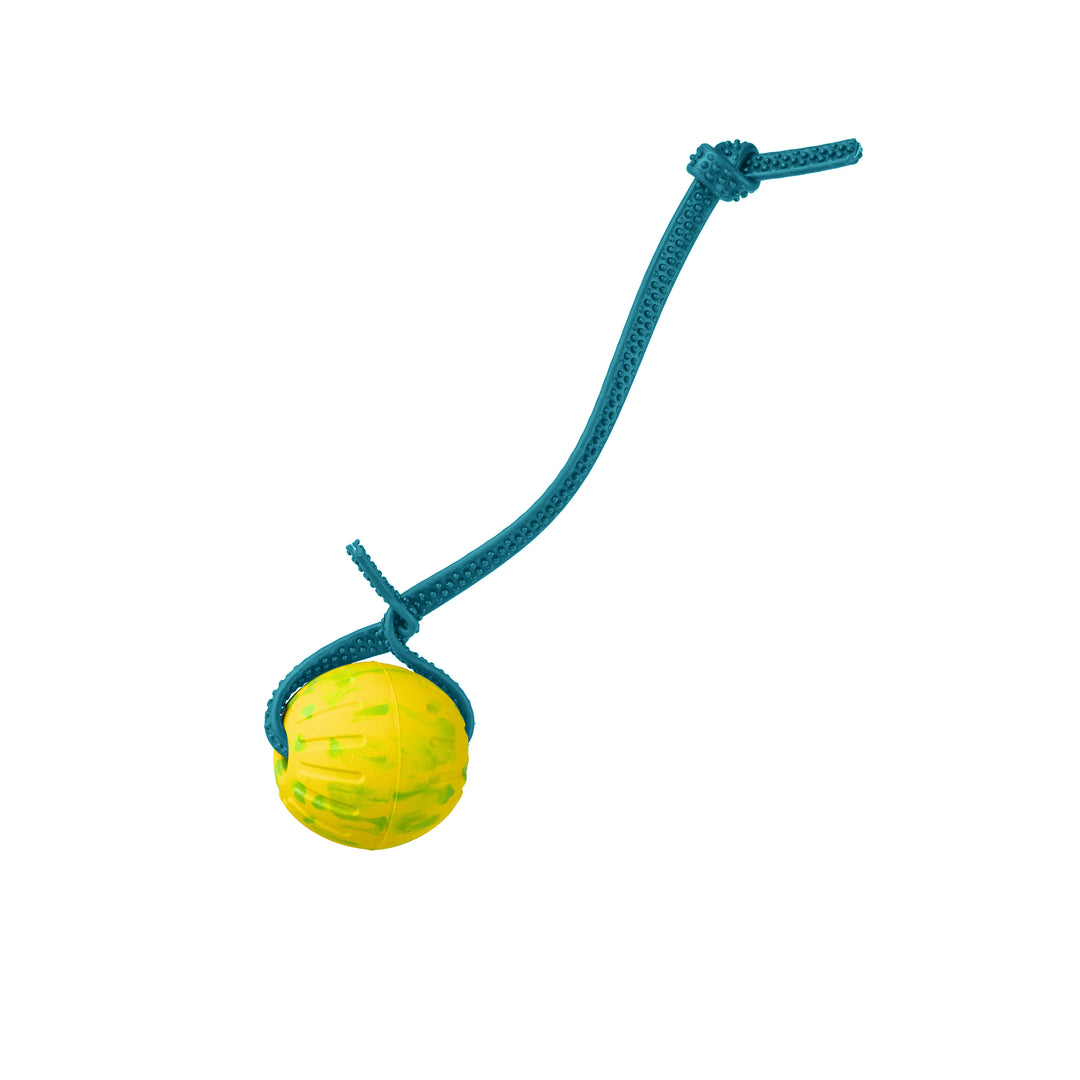 Discount Training Balls