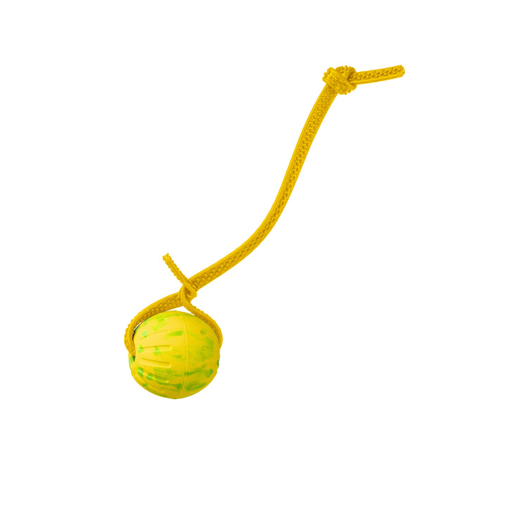 Discount Training Balls