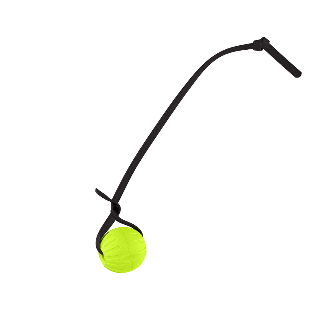 Discount Training Balls