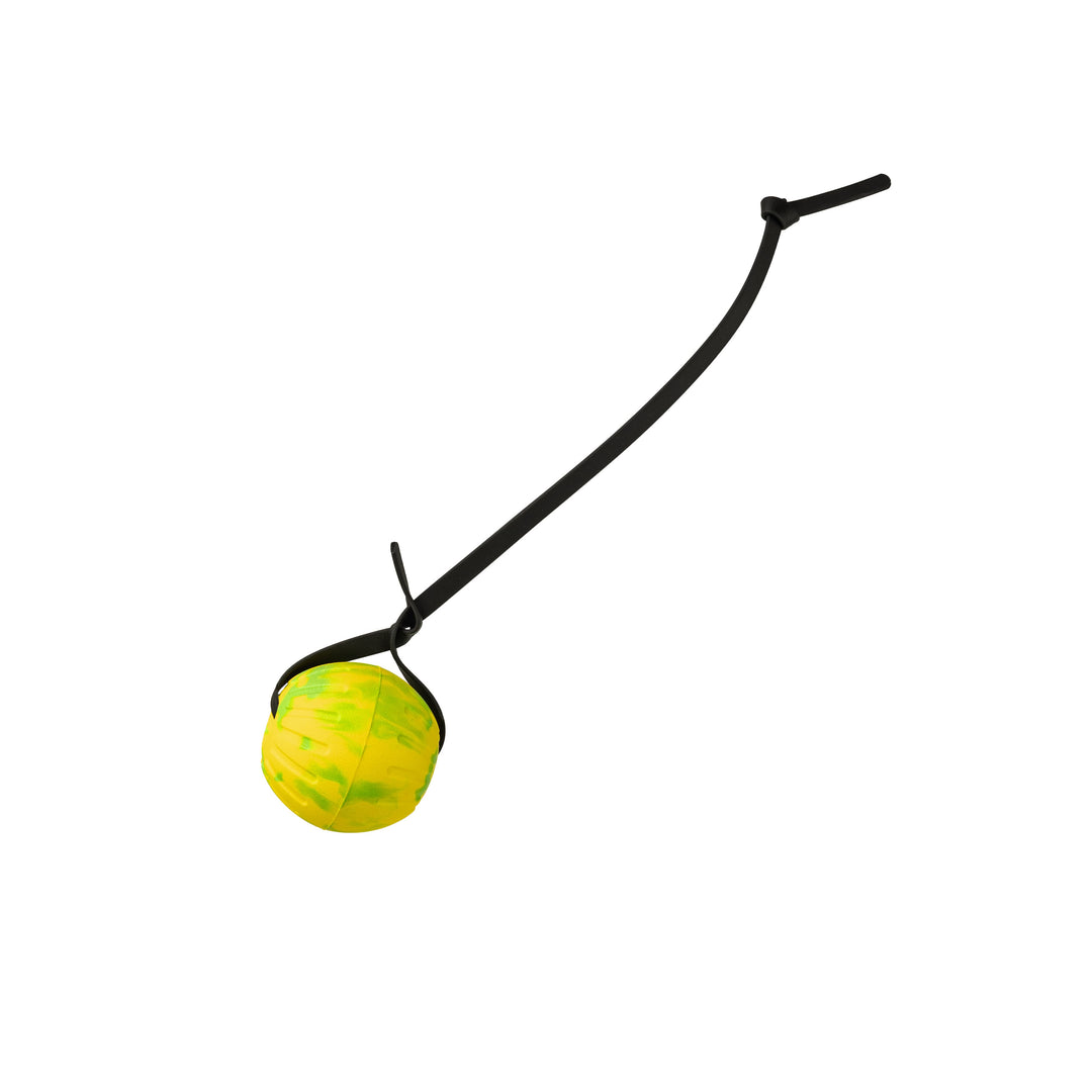 Discount Training Balls