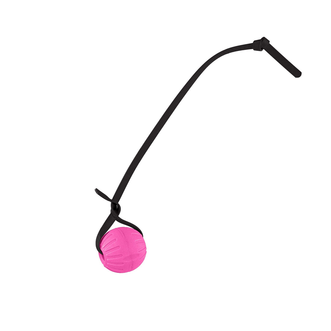 Discount Training Balls