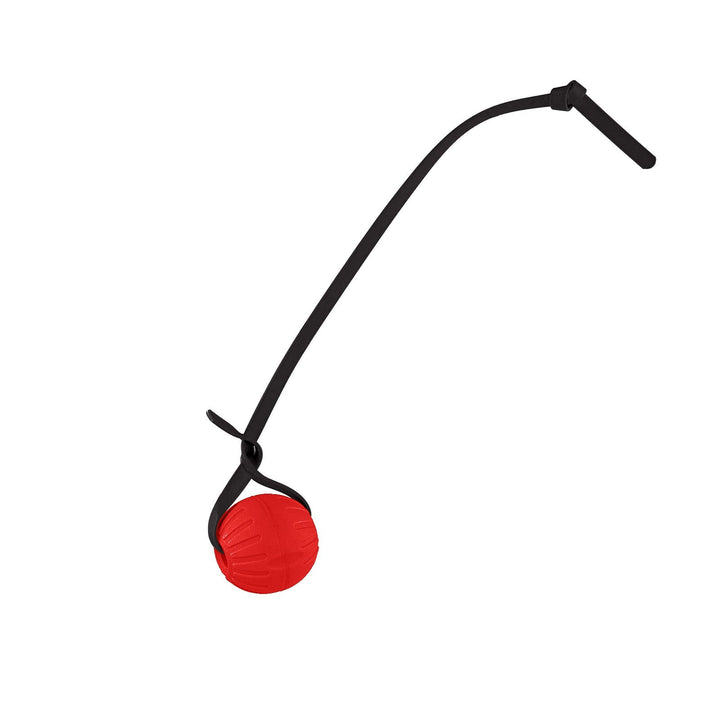 Discount Training Balls