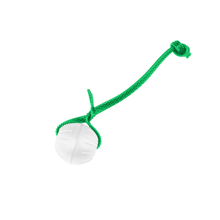 Discount Training Balls