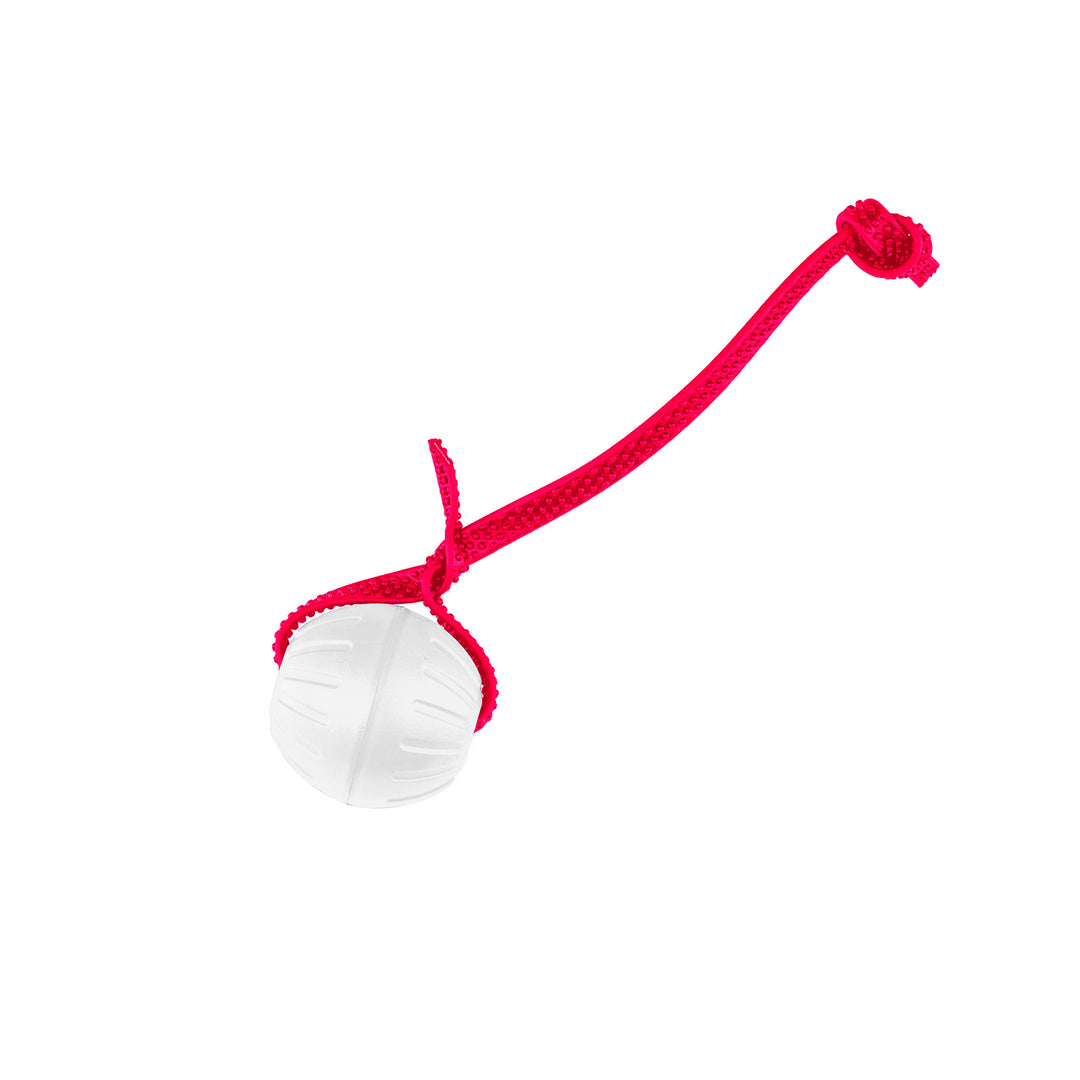 Discount Training Balls