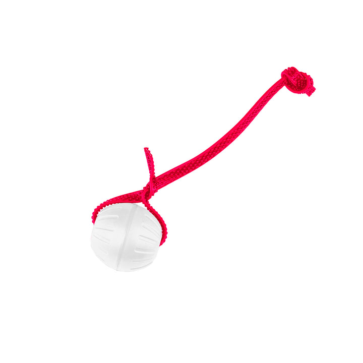 Discount Training Balls