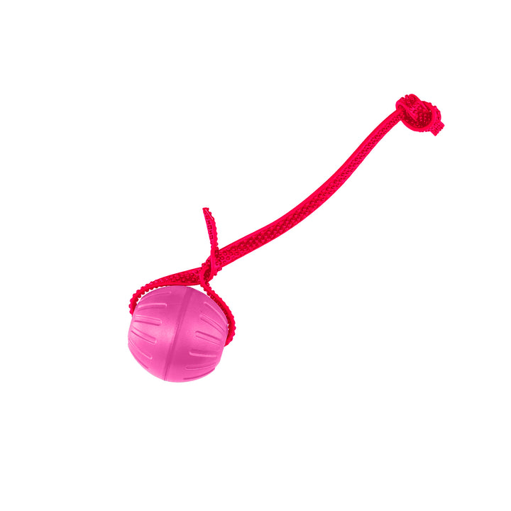 Discount Training Balls