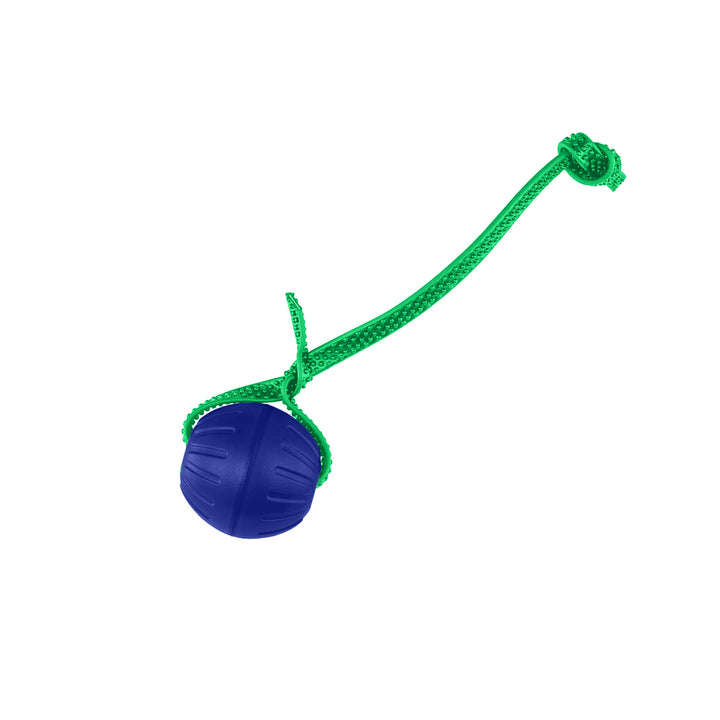 Discount Training Balls