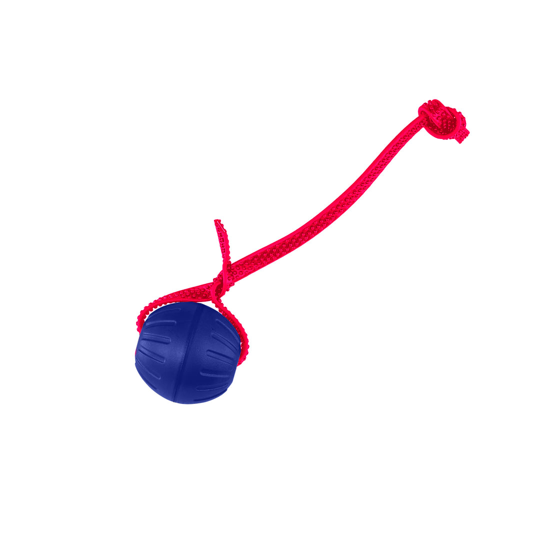 Discount Training Balls