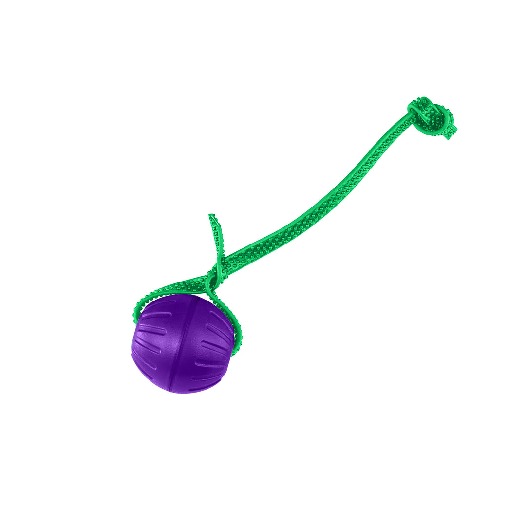 Discount Training Balls