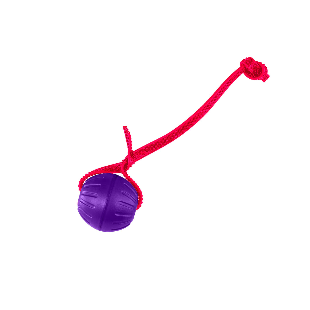 Discount Training Balls