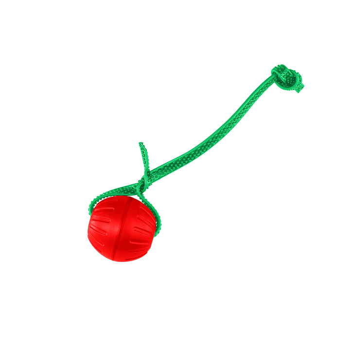 Discount Training Balls