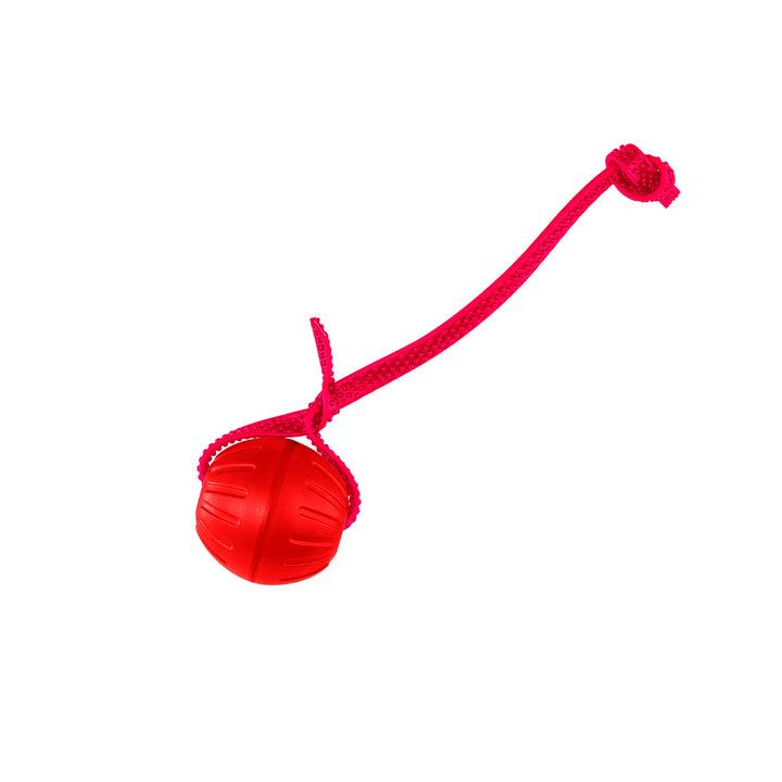 Discount Training Balls