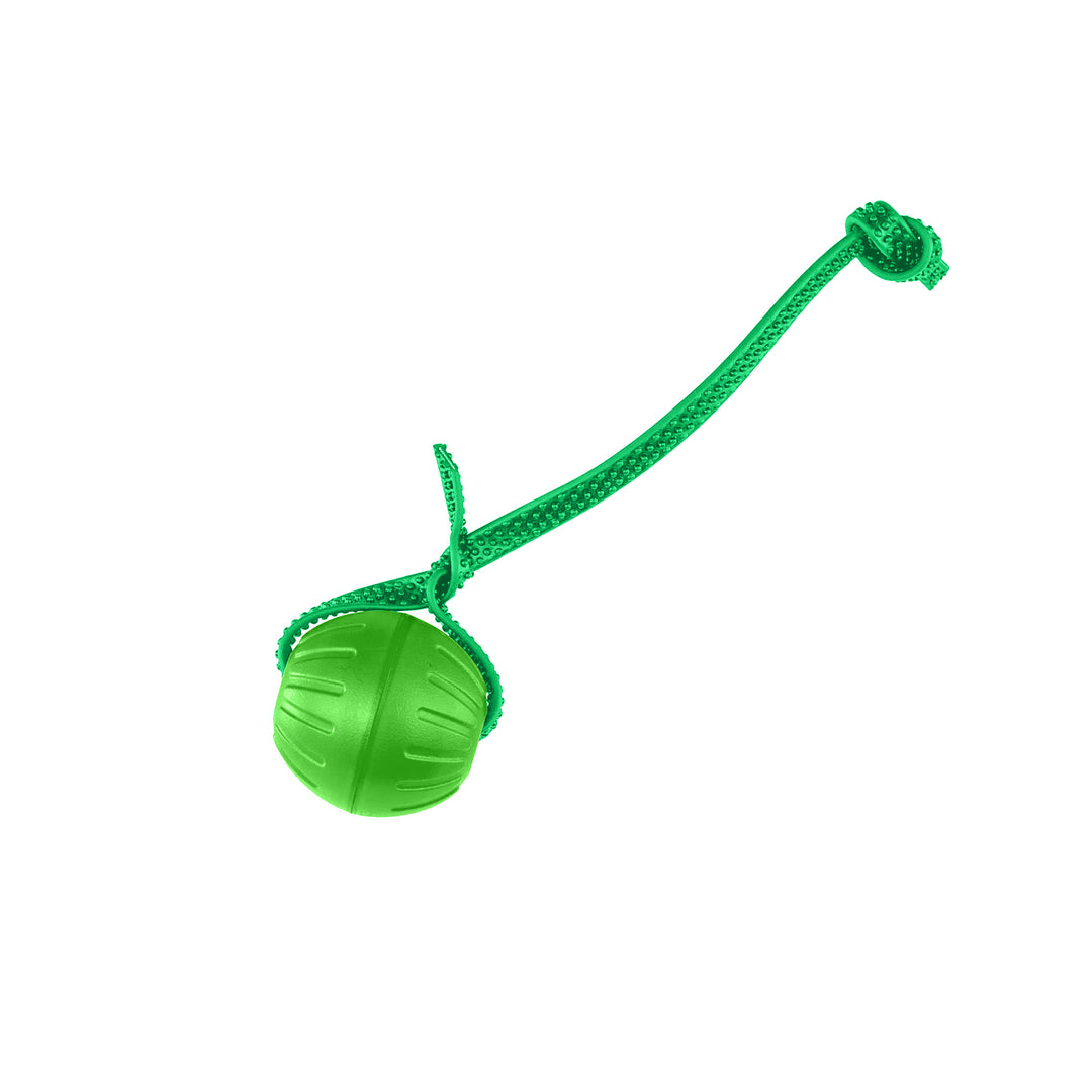 Discount Training Balls