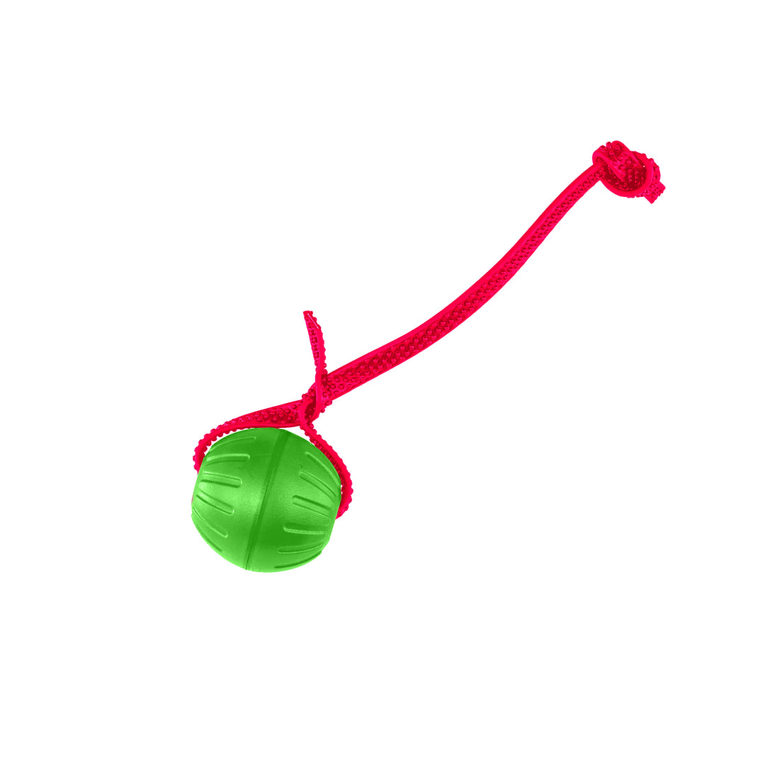 Discount Training Balls