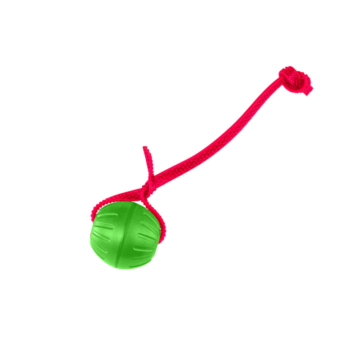 Discount Training Balls