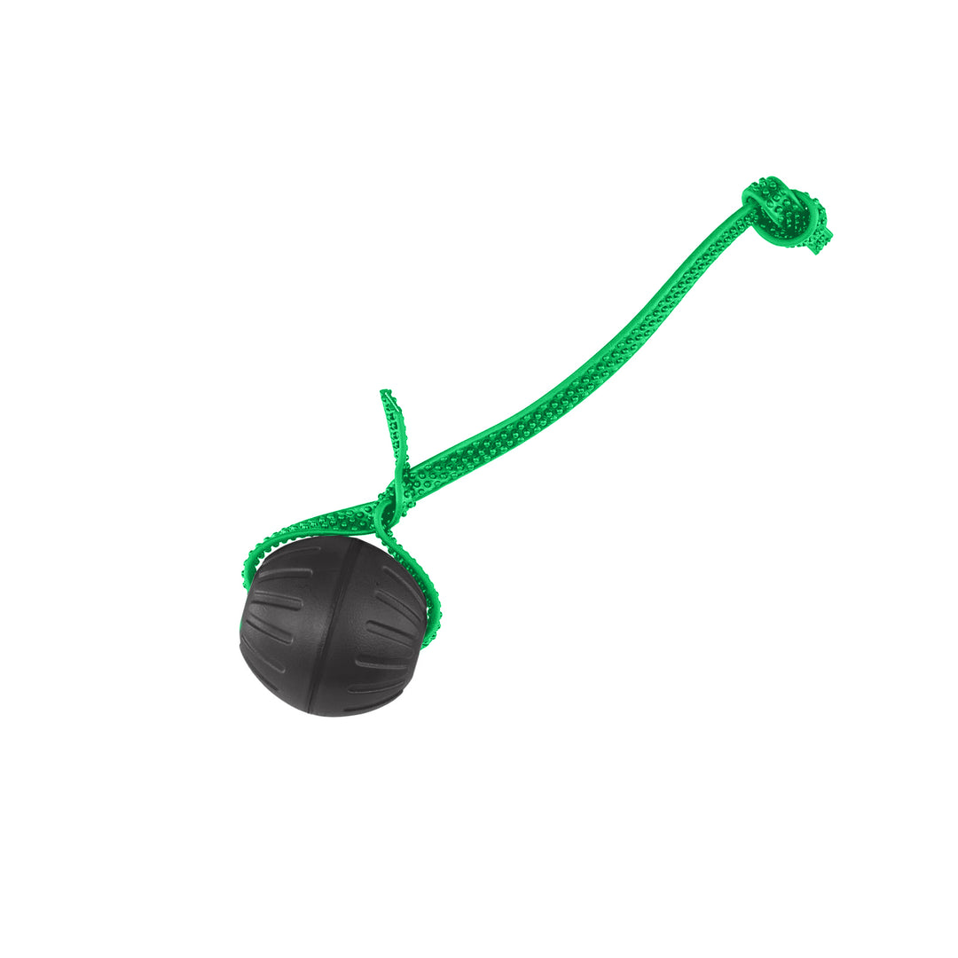 Discount Training Balls