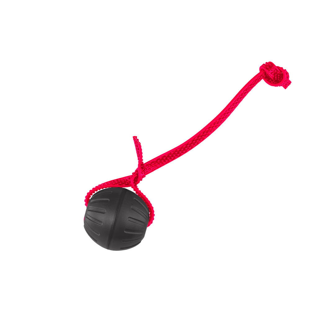 Discount Training Balls