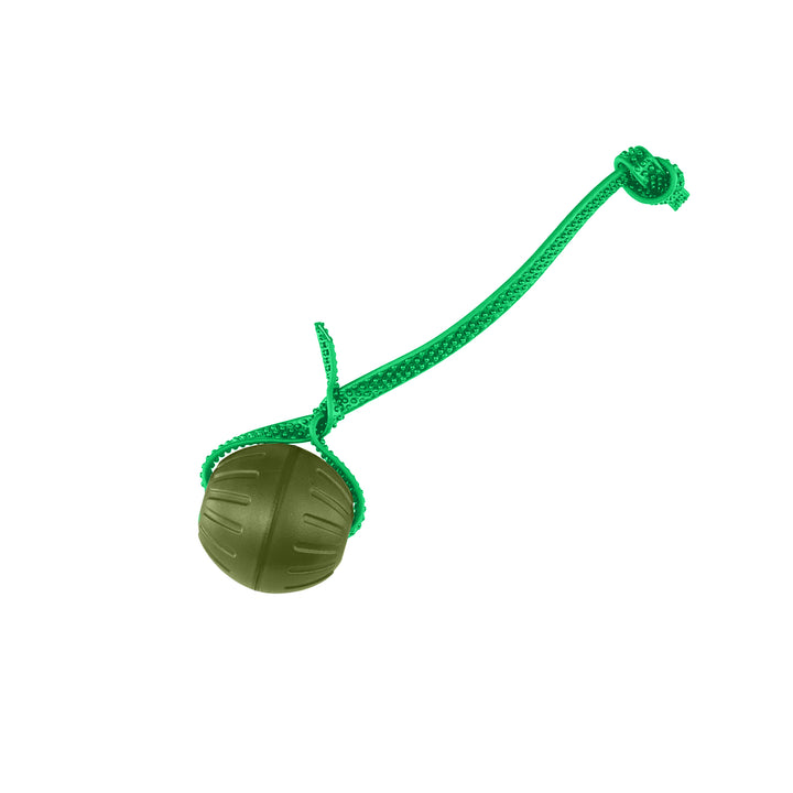 Discount Training Balls