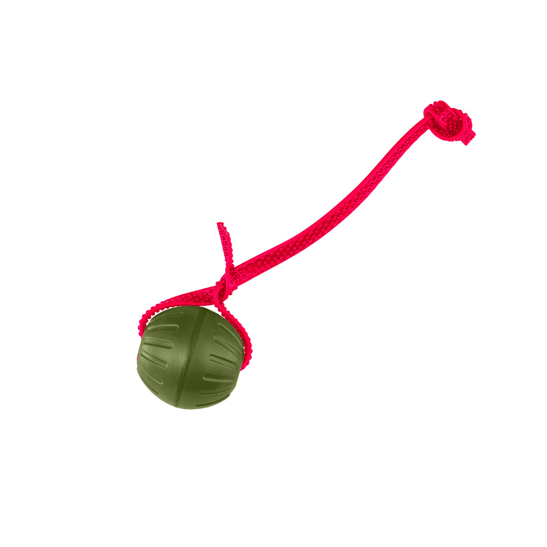 Discount Training Balls