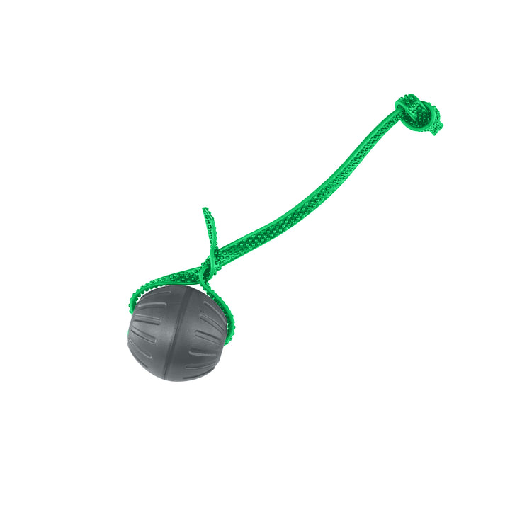 Discount Training Balls