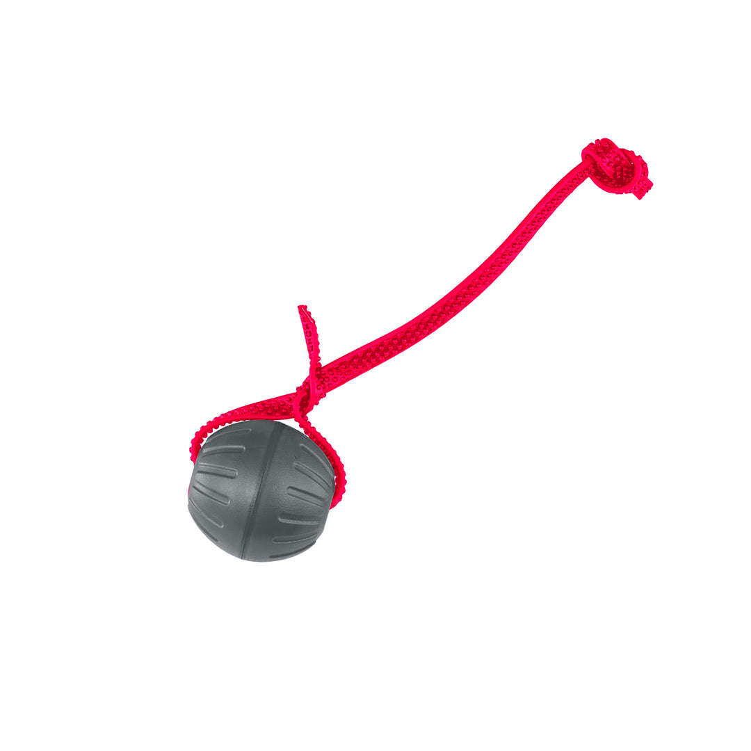 Discount Training Balls