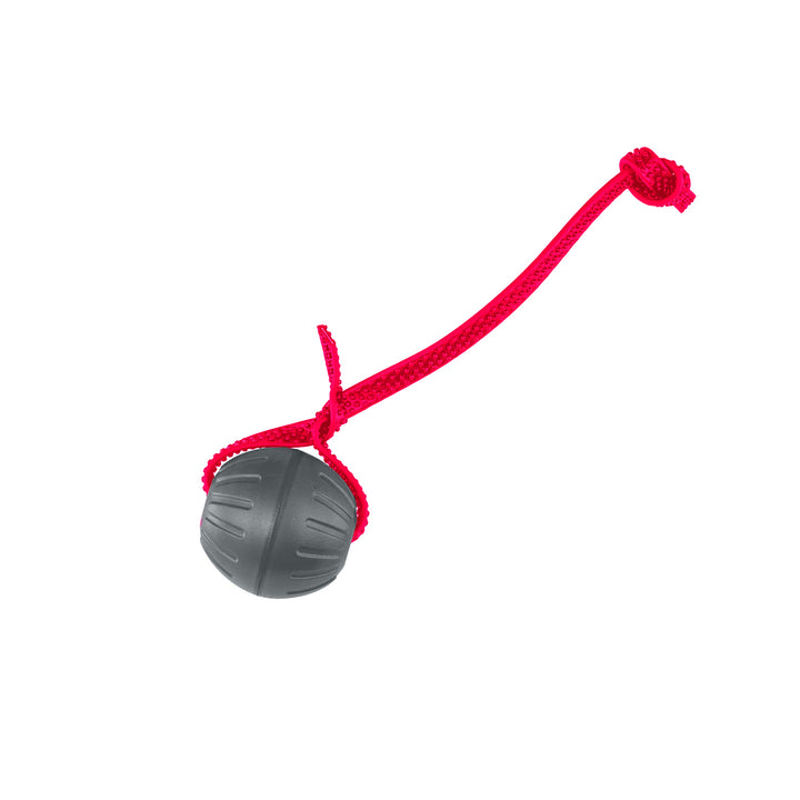 Discount Training Balls