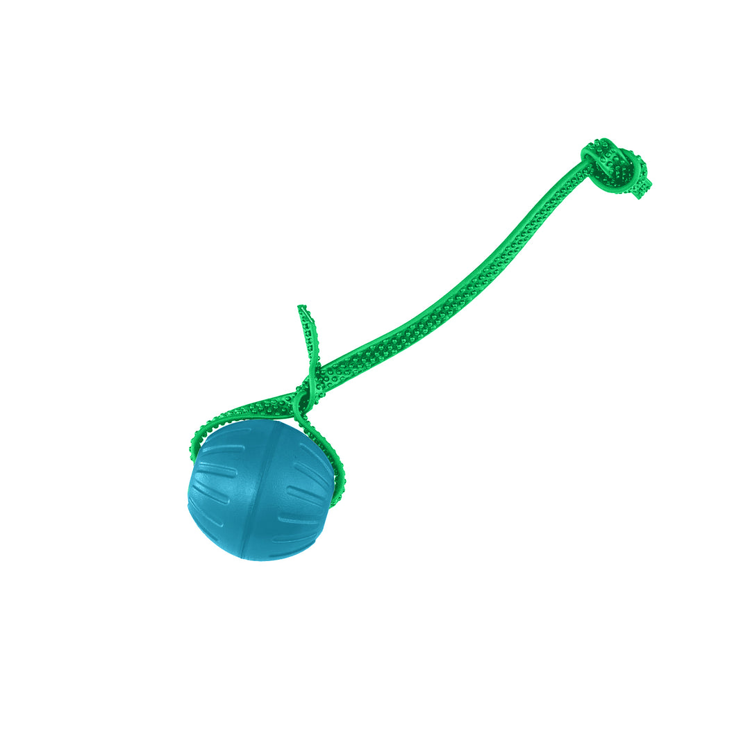 Discount Training Balls