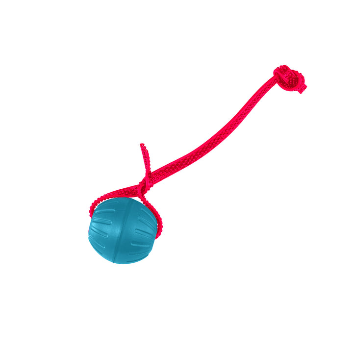 Discount Training Balls