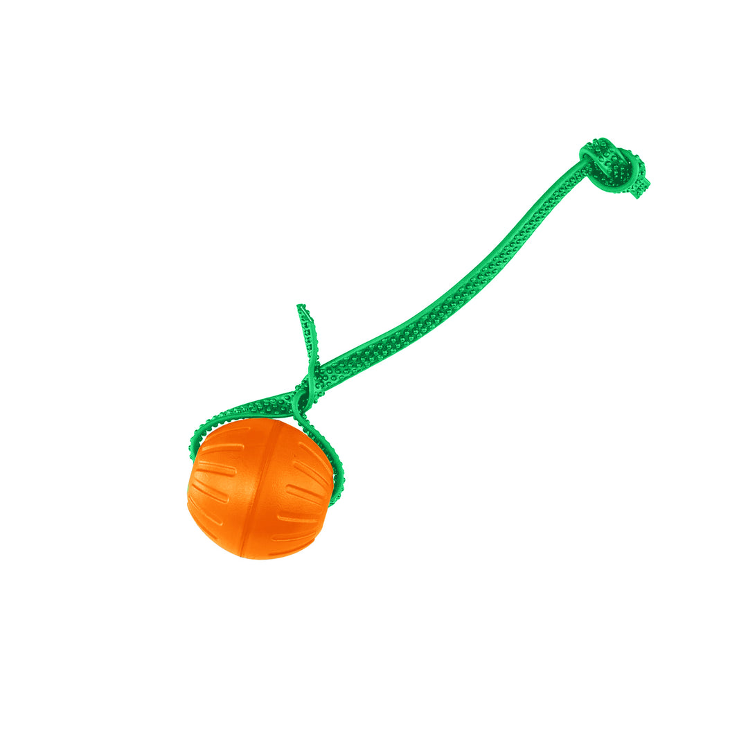 Discount Training Balls