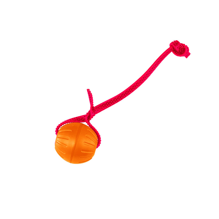 Discount Training Balls