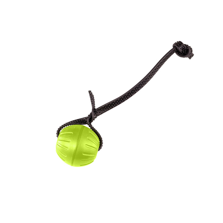 Discount Training Balls