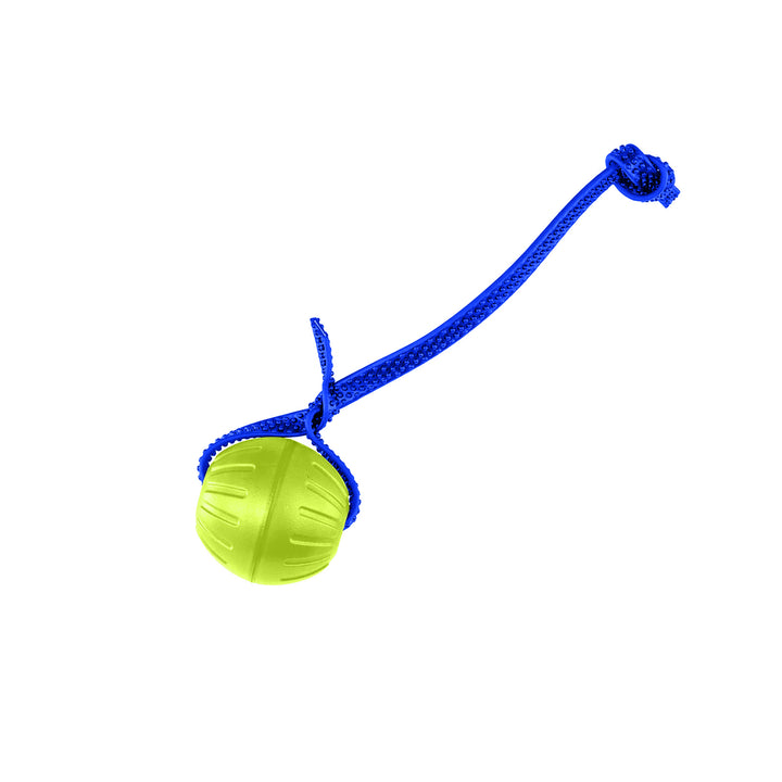 Discount Training Balls