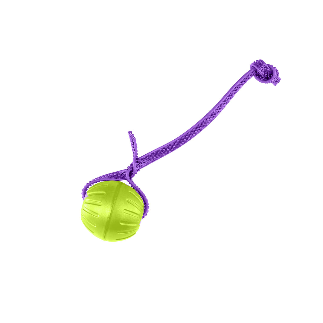 Discount Training Balls