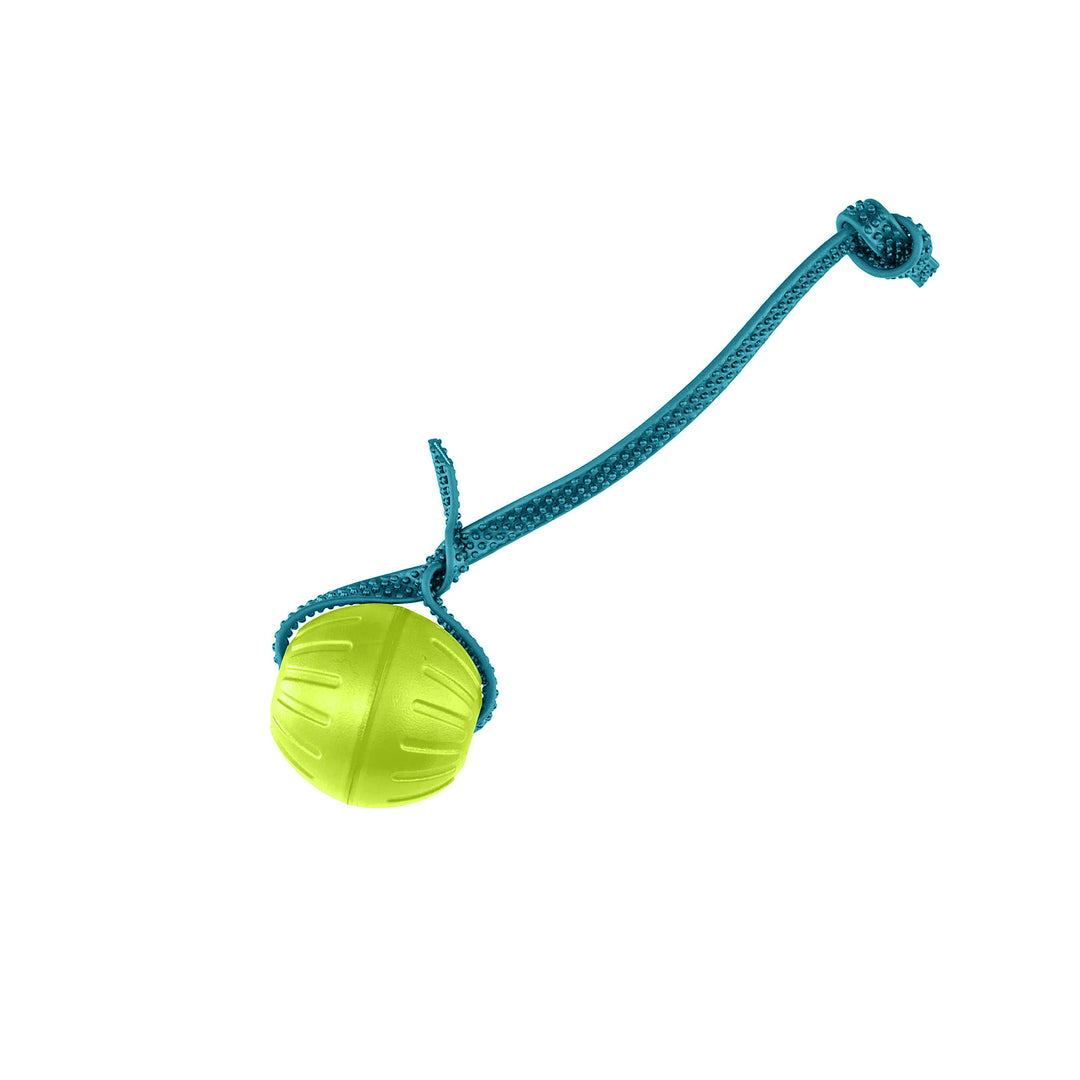 Discount Training Balls