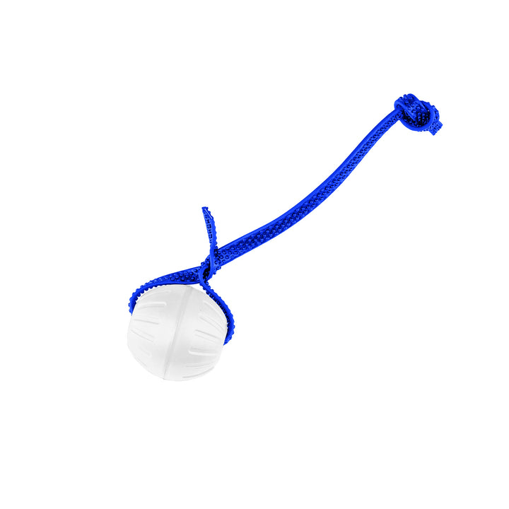 Discount Training Balls