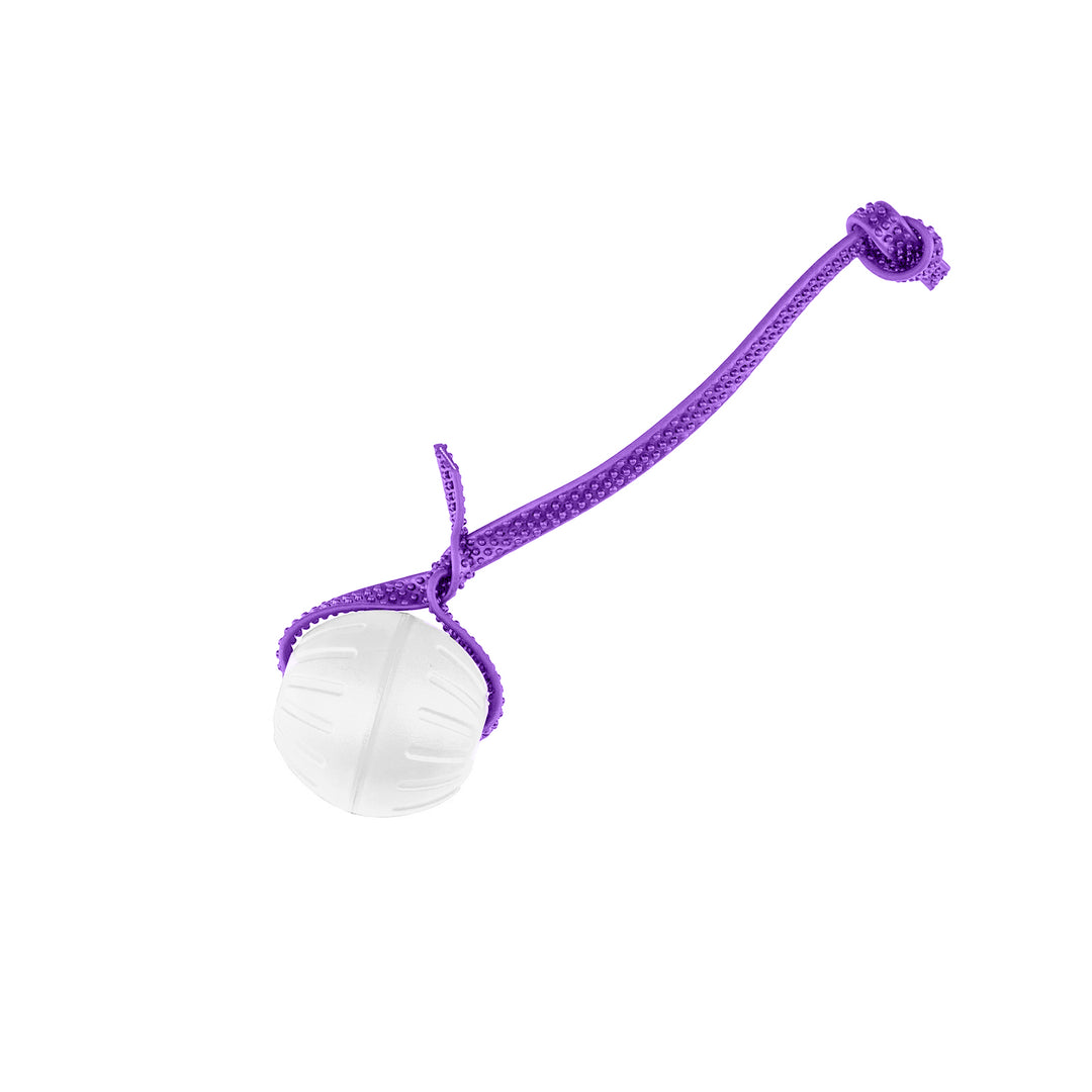 Discount Training Balls