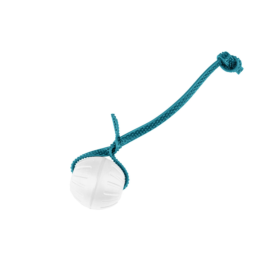 Discount Training Balls