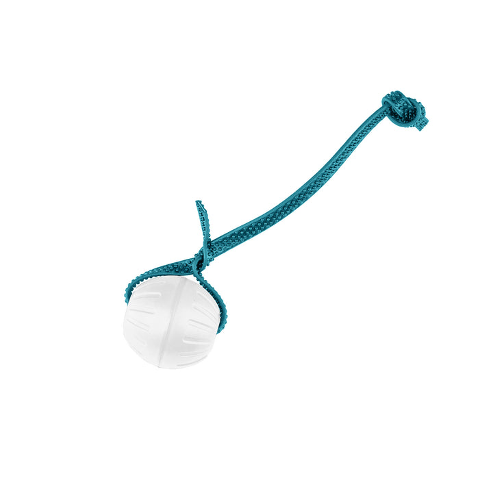 Discount Training Balls