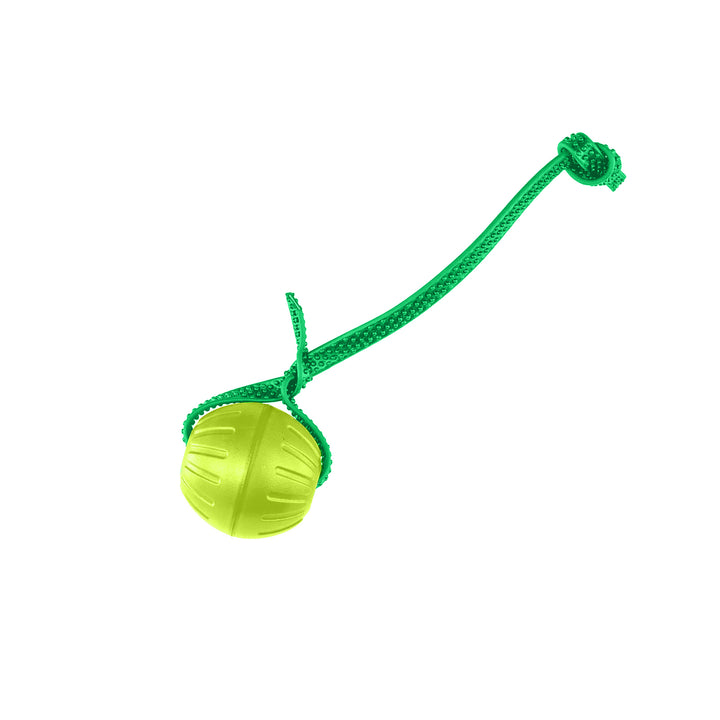 Discount Training Balls