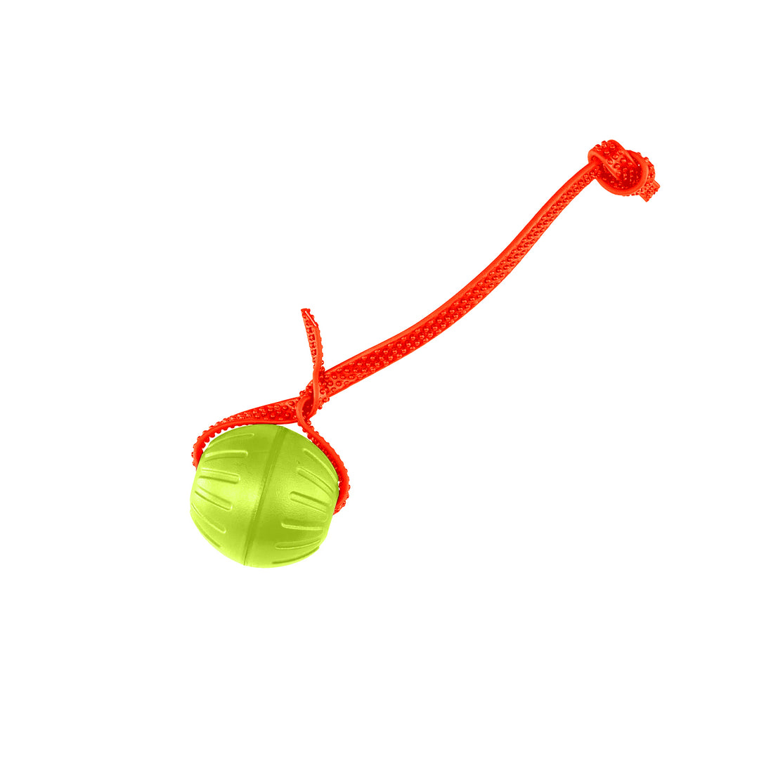 Discount Training Balls